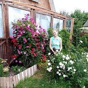 �����, 68 ���, �����