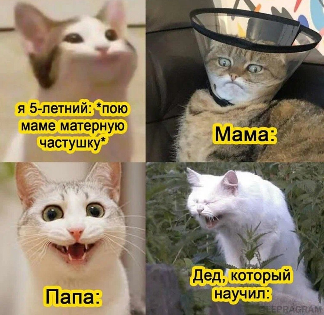 ��� ���� - 26 �������� 2026 � 16:23