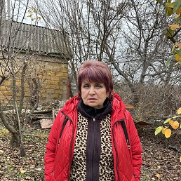 ���� �����, �������, 64 ���� - ��������� 15 ������� 2025