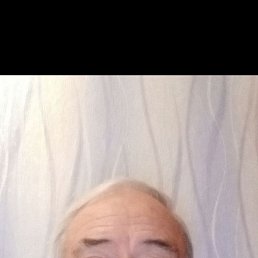 , 67, 