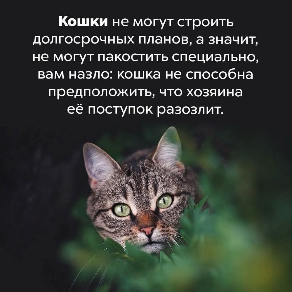 :)