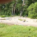  , -, 55  -  24  2025    