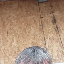 ���� �������, ����������, 40 ��� - ��������� 31 ����� 2026