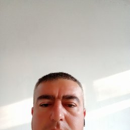 , 37, 