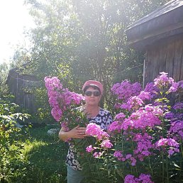 , 61, 