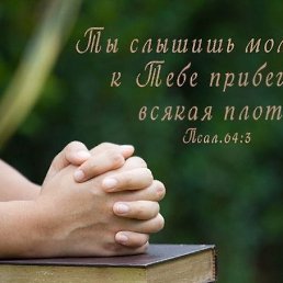 ���� ���� ��������, ������, 41 ��� - ��������� 30 ��� 2025