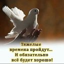 ���� **����**, ������ - ��������� 27 ����� 2024 � ������ ���� ����������