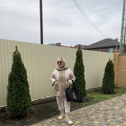 ���� ���������, ���������, 61 ��� - ��������� 5 ����� 2026