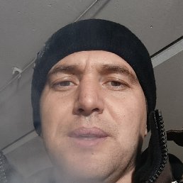 ������, ���������, 37 ���