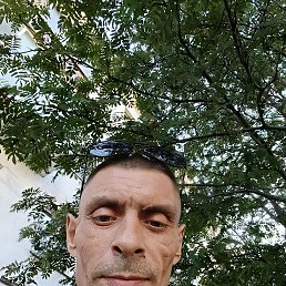 , 41, -