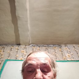 , 51, 