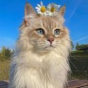 ���� ����., ������ - ��������� 15 ������ 2025 � ������ ������ ��������