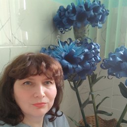 , 43, 