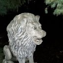 ���� ���������, ������, 40 ��� - ��������� 17 ������� 2024 � ������ ���� ����������