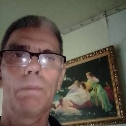, 66, 