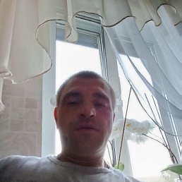 , 37, 