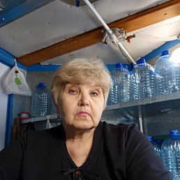 , 62, 