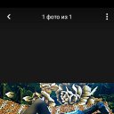 ���� ����, �����-���������, 34 ���� - ��������� 7 ������� 2025 � ������ ���� ����������