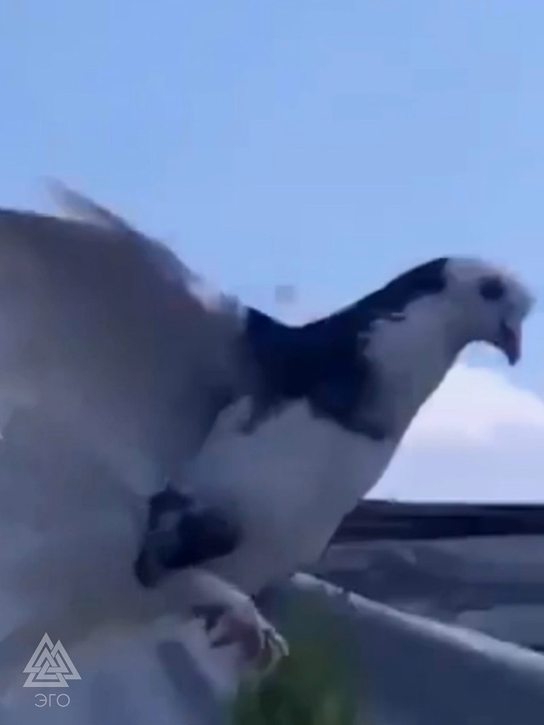   ,        - 2