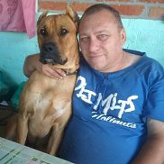 , 54 , 