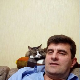 , 53, 