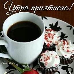 ����, ������, 49 ���