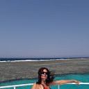 ���� ���������, ������, 56 ��� - ��������� 10 ������ 2026 � ������ �� ����������