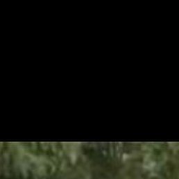 ���������, ����, 50 ���