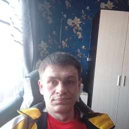 , 35, 