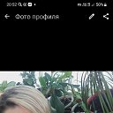 ���� ���, ����������, 43 ���� - ��������� 15 ������� 2025 � ������ ���� ����������