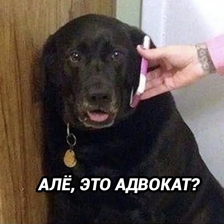     !