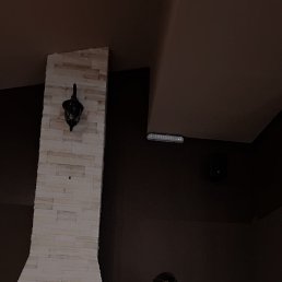 ������, 22 ����, ���������