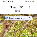 ���� �����, �������, 63 ���� - ��������� 22 ��� 2026