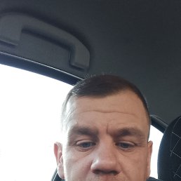 ��������, 41 ���, ����