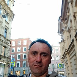 �����, 41 ���, �����