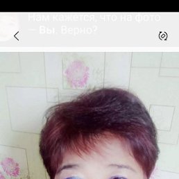 , 58, 