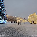 ���� Zalm, ������, 43 ���� - ��������� 9 ������ 2024