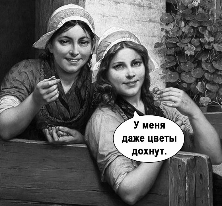    ) - 2