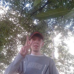 , 37, 
