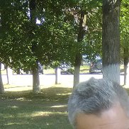 , 58 , 
