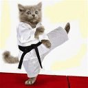 ���� ���, ���, 25 ��� - ��������� 14 ������� 2023 � ������ ���� ����������