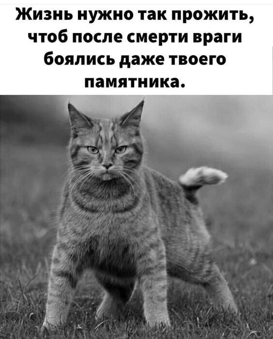 �������� - 16 �������� 2026 � 18:17