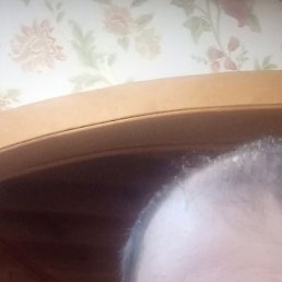 �����, �������, 45 ���