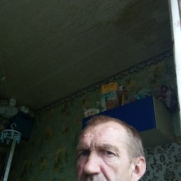 , 54, 
