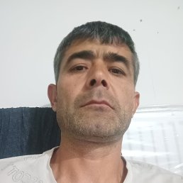 , 41, 