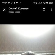 ������, 42 ����, ��������