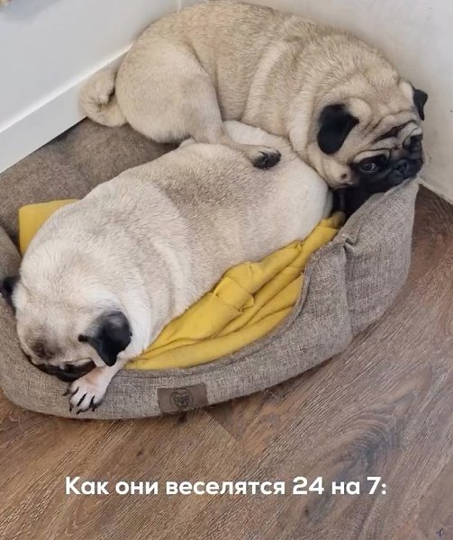 ������, ��� ��� ��... - 3