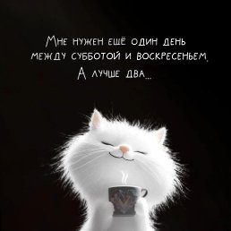 ���, ����, 28 ���