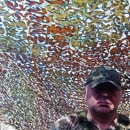 ����, ����, 51 ���