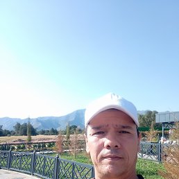 , 47, 